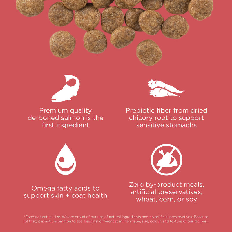 Go! Solutions Sensitivities Limited Ingredient Dry Dog Food, Salmon image number null