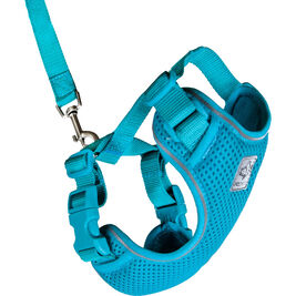 RC Pets Adventure Kitty Harness, Teal