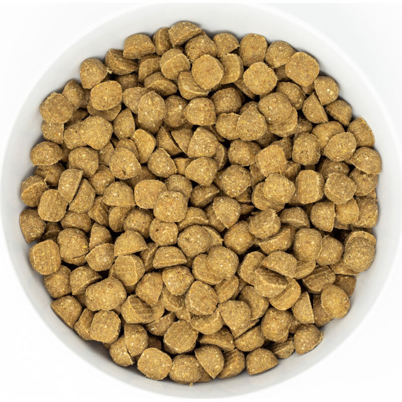 Stella & Chewy's Raw Coated Grain-Free Dry Dog Food, Beef image number null