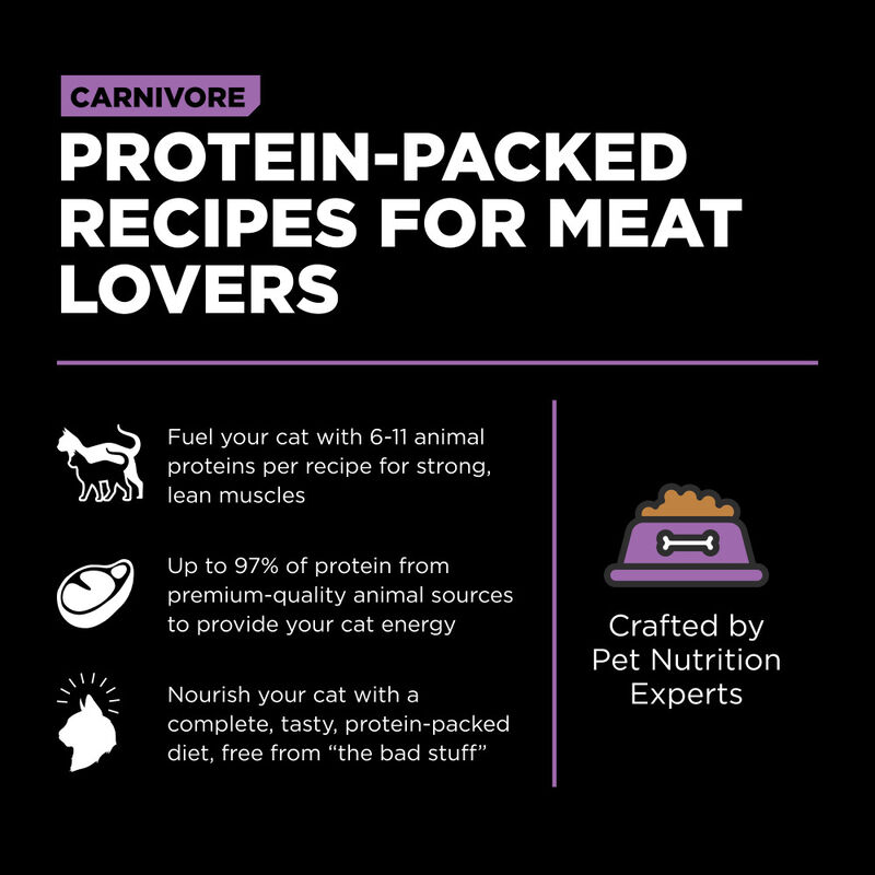 Go! Solutions Carnivore Grain-Free Dry Cat Food, Chicken Turkey & Duck image number null