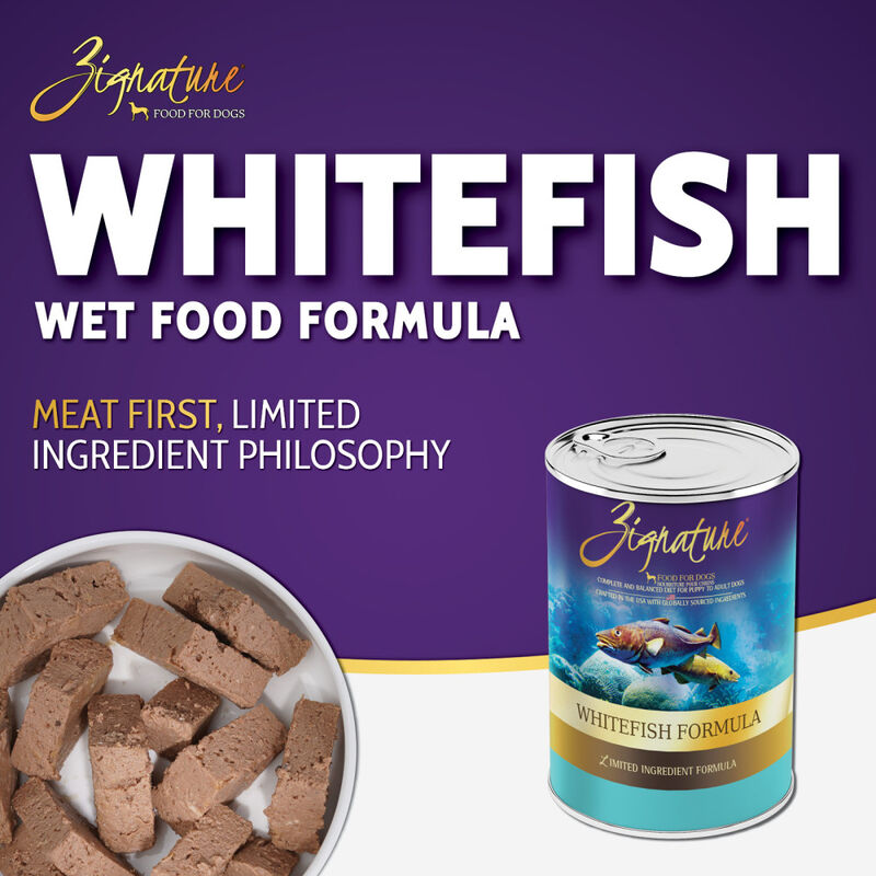 Zignature Limited Ingredient Canned Dog Food, Whitefish, 13-oz image number null
