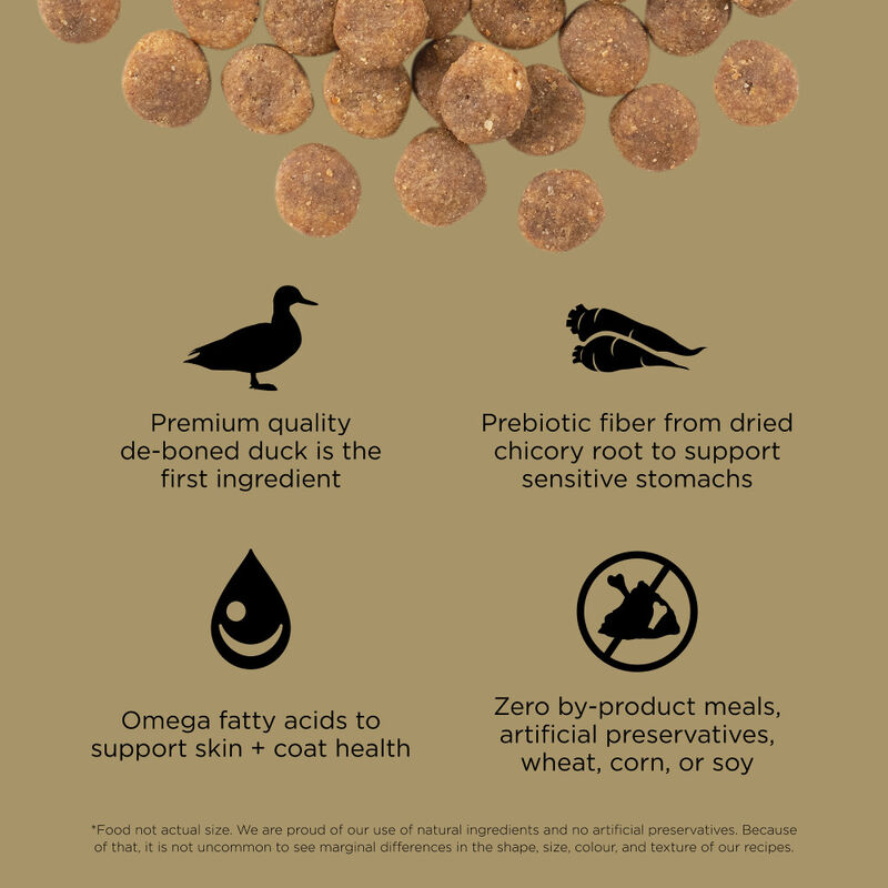 Go! Solutions Sensitivities Limited Ingredient Dry Dog Food, Duck image number null