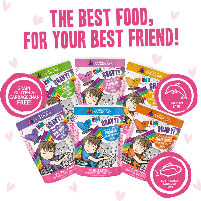 B.F.F. Best Feline Friend OMG Gravy! Wet Cat Food, Variety Pack, Rainbow A Gogo, 3-oz, 12-pack image number null