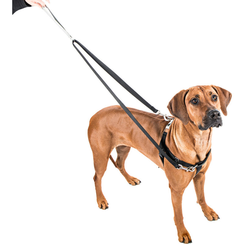 2 Hounds Design Freedom No-Pull Dog Harness, Black image number null