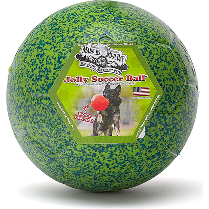 Mud Bay Soccer Ball Dog Toy, Green & Blue image number null