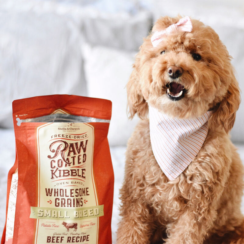 Stella & Chewy's&nbsp;Raw Coated Wholesome Grains Dry Dog Food, Small Breed, Beef, 3.5-lb image number null