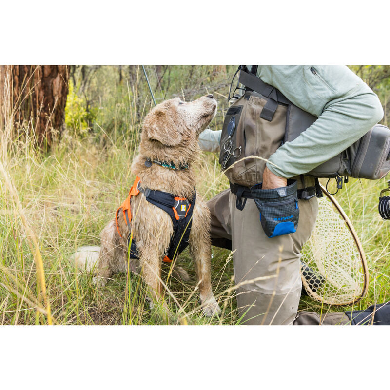 Ruffwear Treat Trader Dog Treat Pouch, Blue Pool image number null