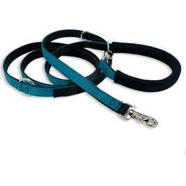 Dolan's Dog Doodads "The Cruiser" Multi-Functional Dog Leash, Teal, 8-ft