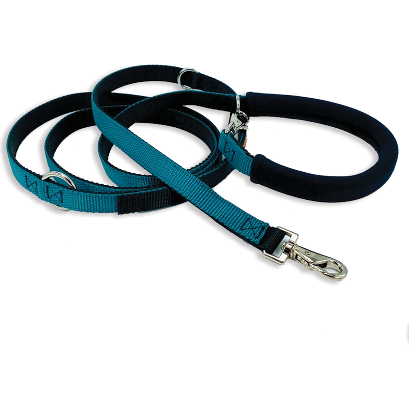 Dolan's Dog Doodads "The Cruiser" Multi-Functional Dog Leash, Teal, 8-ft image number null