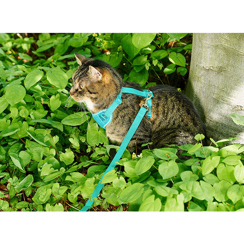 RC Pets Adventure Kitty Harness, Raspberry image number null