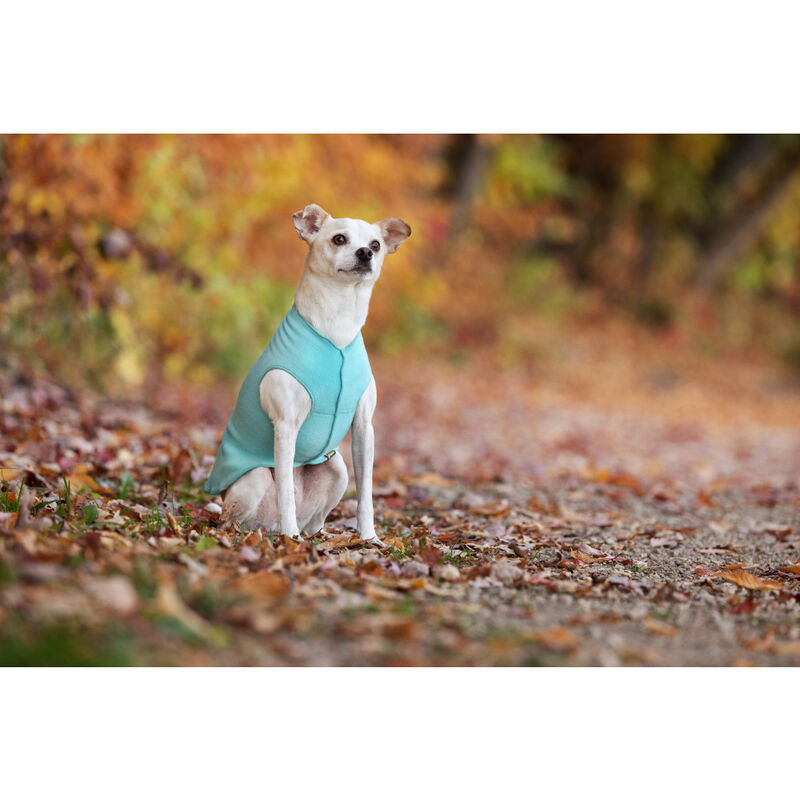 Gold Paw Stretch Fleece Dog Coat, Turquoise image number null