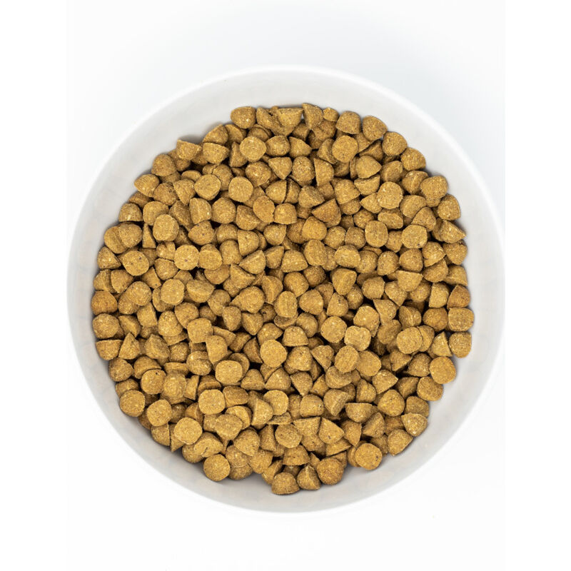 Stella & Chewy's Raw Coated Grain-Free Dry Dog Food, Small Breed, Chicken, 3.5-lb image number null