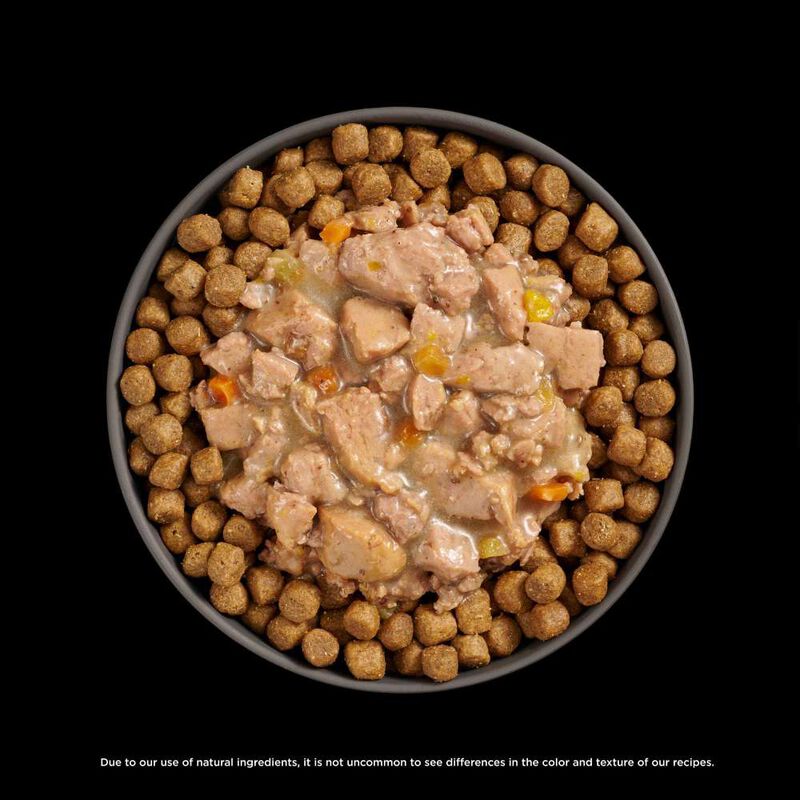 Go! Solutions Booster Wet Cat Food, Digestive Health, Minced Chicken & Duck with Gravy, 2.5-oz image number null
