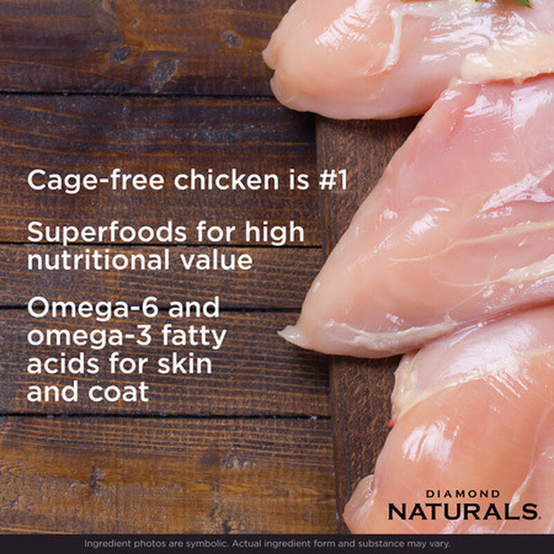 Diamond Naturals Dry Cat Food, Kitten, Chicken & Rice, 6-lb image number null