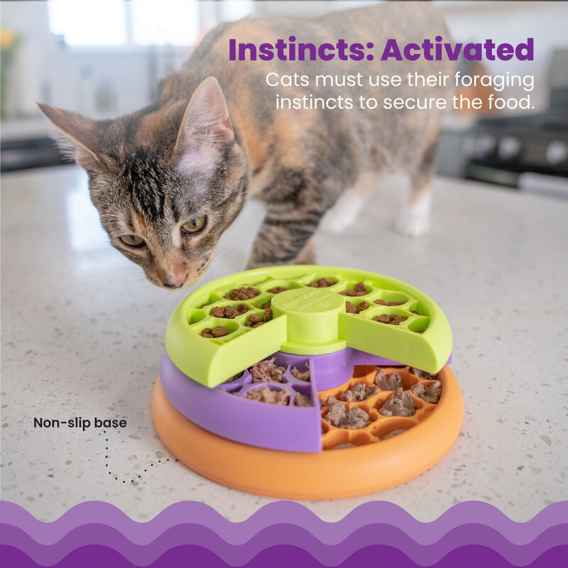 Petstages Catstages Kitty Lickin' Layers Fun Feeder Treat Puzzle Cat Toy image number null