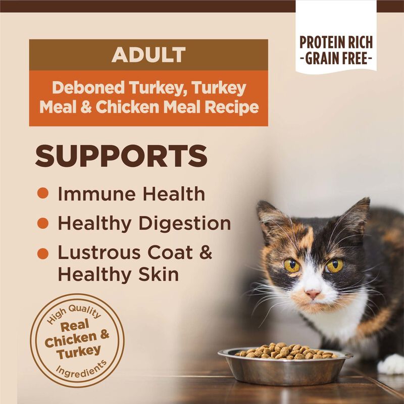 Wellness CORE Grain-Free Dry Cat Food, Original Turkey & Chicken, 5-lb image number null