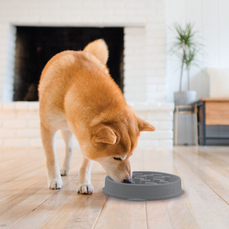 Outward Hound Fun Feeder Slo Bowl, Notch, Grey, Medium image number null