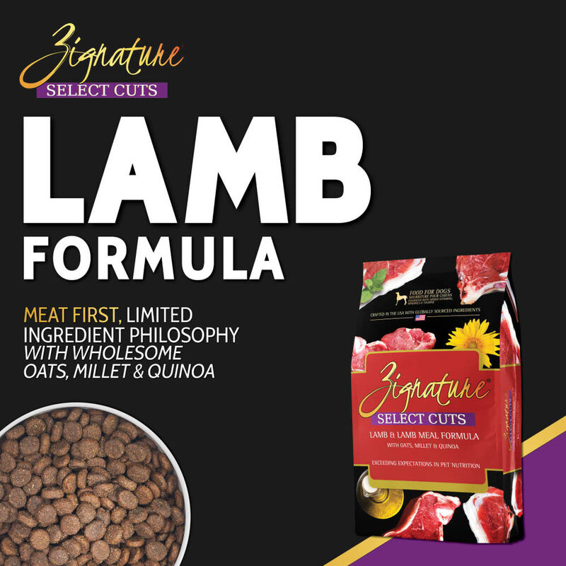 Zignature Select Cuts Dry Dog Food, Lamb image number null