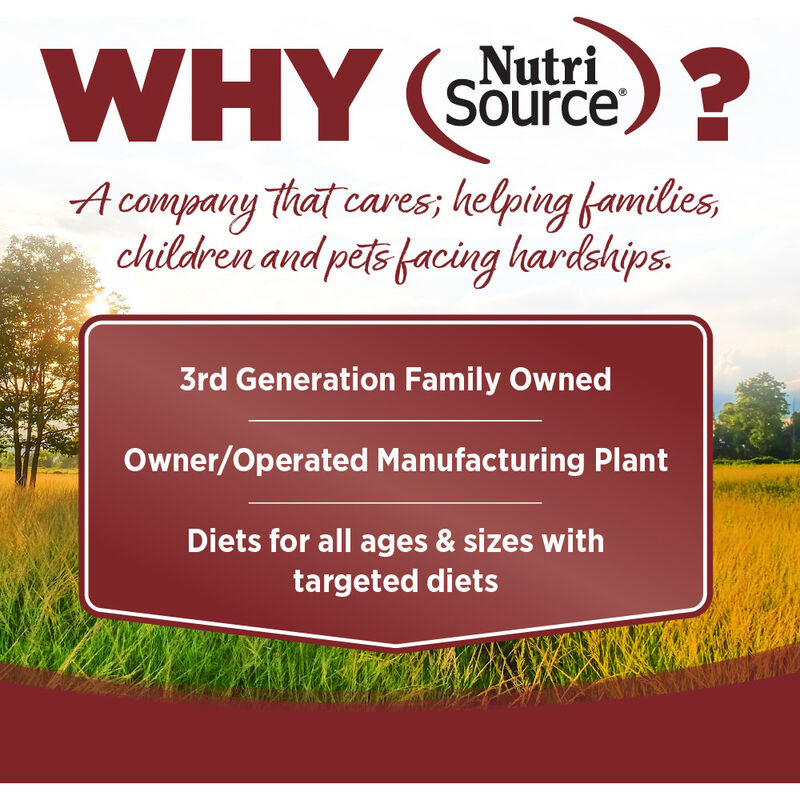 PureVita Limited Ingredient Grain Inclusive Dry Dog Food, Beef & Kale image number null