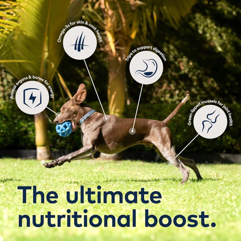 ZIWI Peak Original Series Canned Dog Food, Chicken, 6-oz image number null